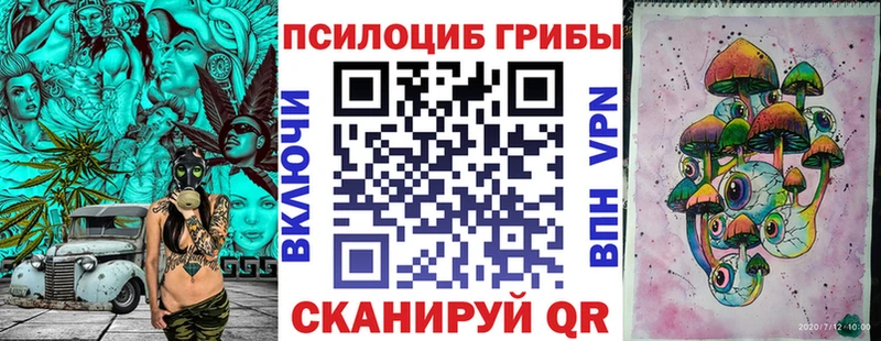 Псилоцибиновые грибы Magic Shrooms  mega tor  Зеленоградск 