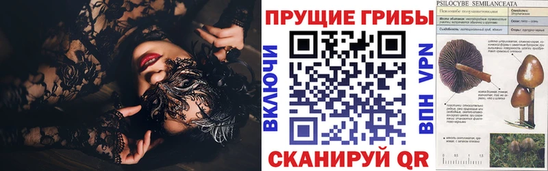 Псилоцибиновые грибы прущие грибы Зеленоградск